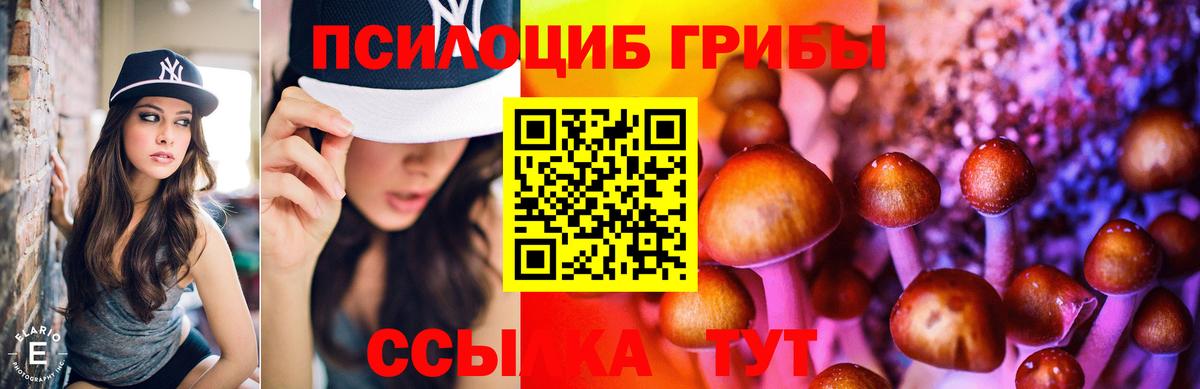Псилоцибиновые грибы Psilocybe  Вход с VPN  Северск  Псилоцибиновые грибы ЛСД 